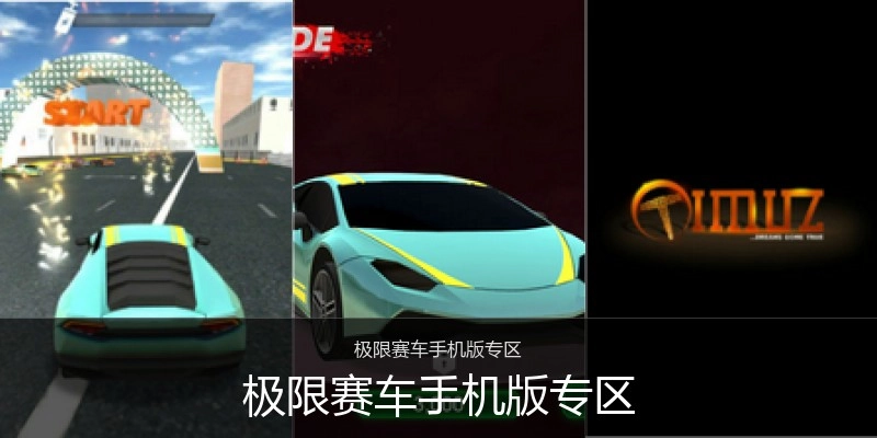 极限赛车手机版专区