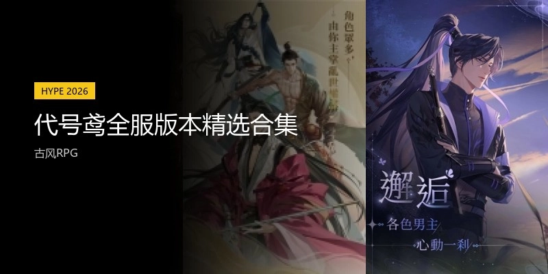 代号鸢全服版本精选合集