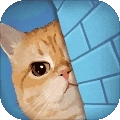 橘猫侦探社正版