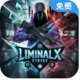 极限打击X