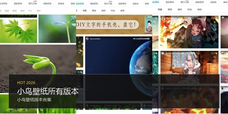 小鸟壁纸所有版本