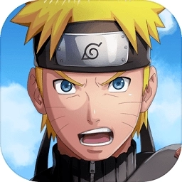 忍者热斗正版