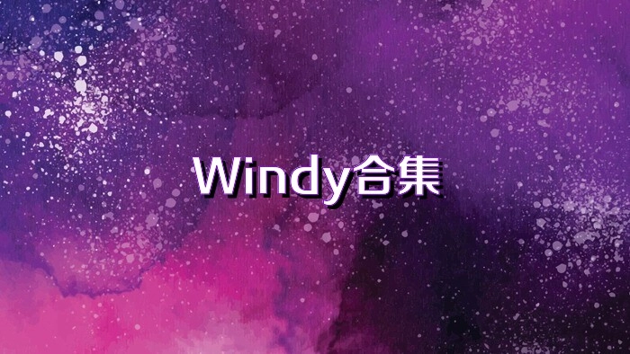 windy气象软件版本大全