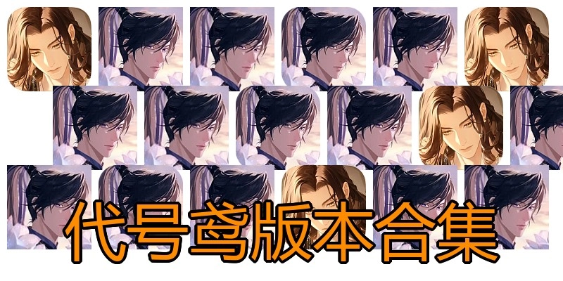 代号鸢版本合集