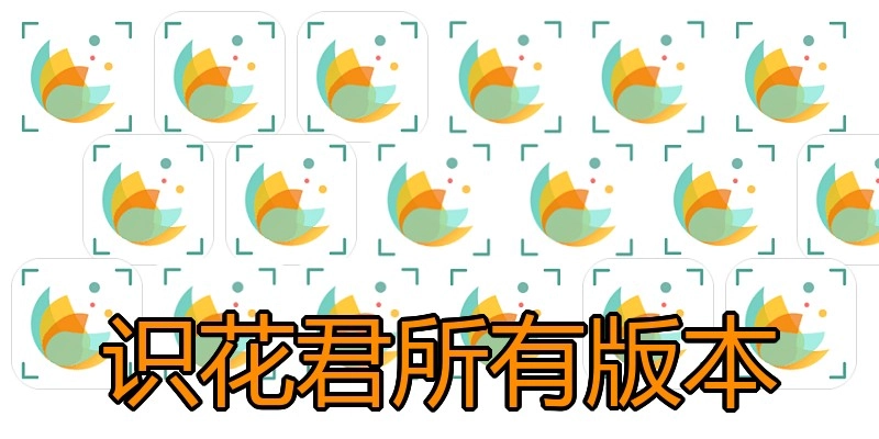 识花君所有版本