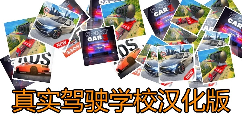 真实驾驶学校汉化版