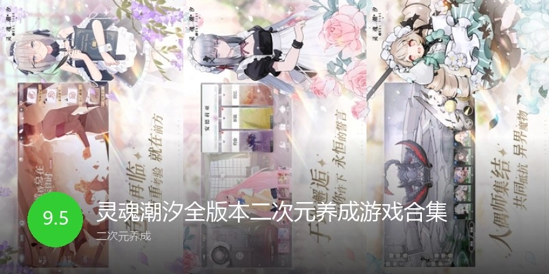 灵魂潮汐全版本二次元养成游戏合集
