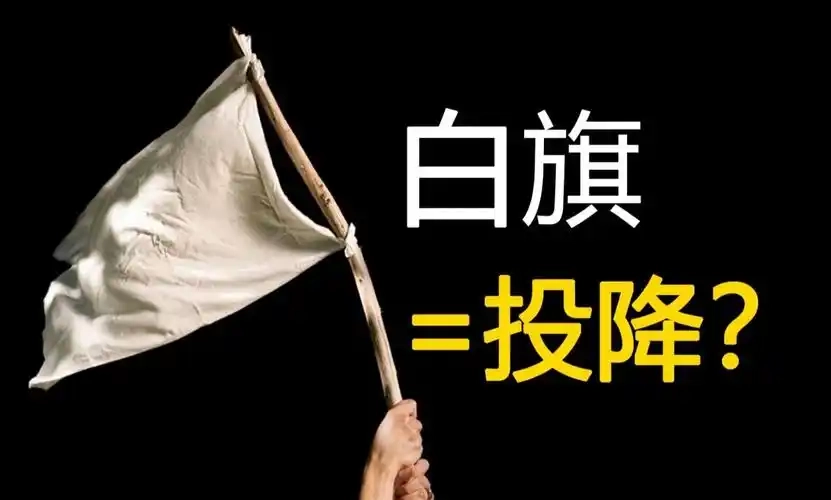 白旗影视所有版本大全
