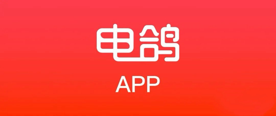 电鸽