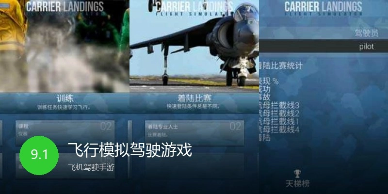 飞行模拟驾驶游戏