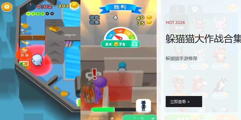 躲猫猫大作战合集