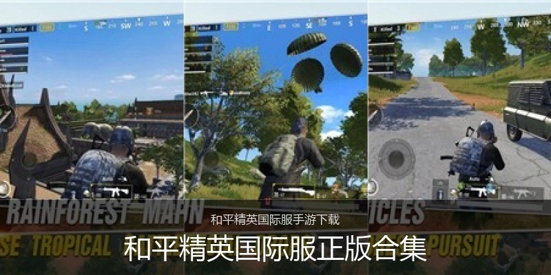 和平精英国际服正版合集