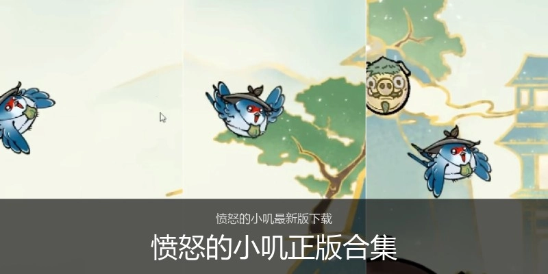 愤怒的小叽正版合集