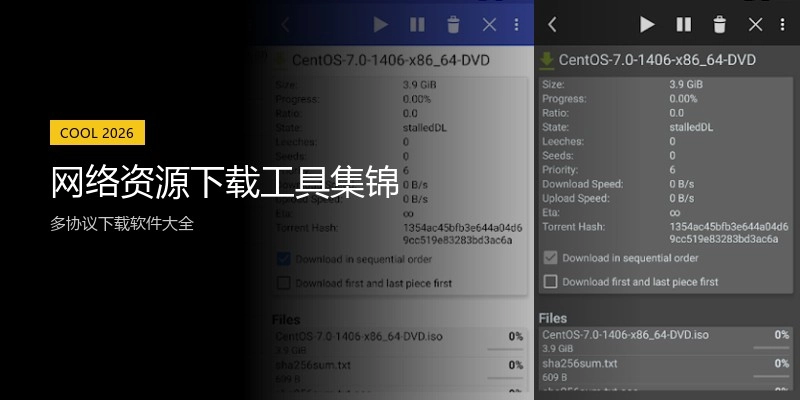 网络资源下载工具集锦