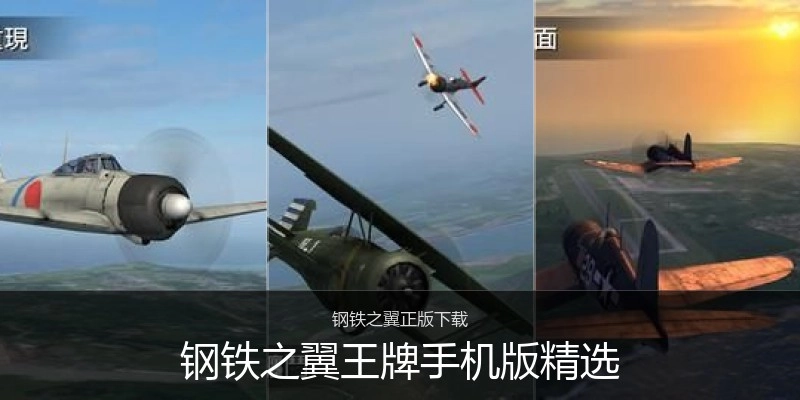 钢铁之翼王牌手机版精选