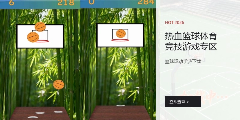 热血篮球体育竞技游戏专区