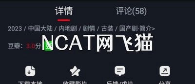 网飞猫ncat