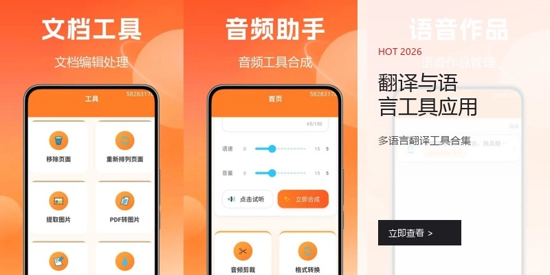 翻译与语言工具应用