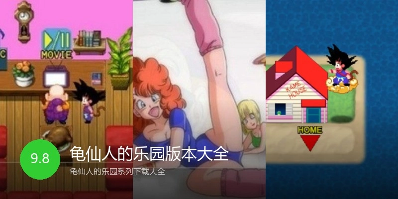 龟仙人的乐园版本大全