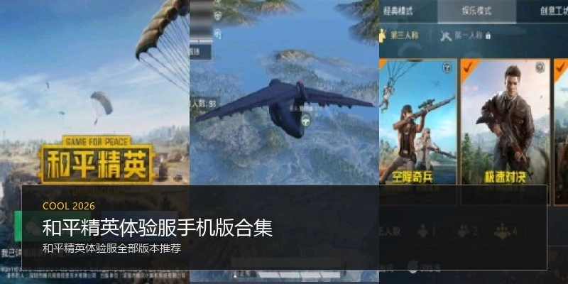 和平精英体验服手机版合集