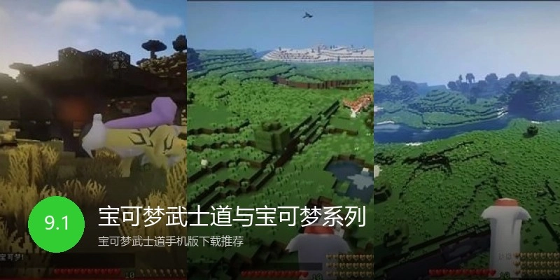 宝可梦武士道与宝可梦系列