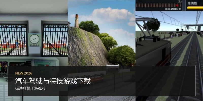 汽车驾驶与特技游戏下载