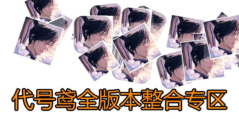 代号鸢全版本整合专区