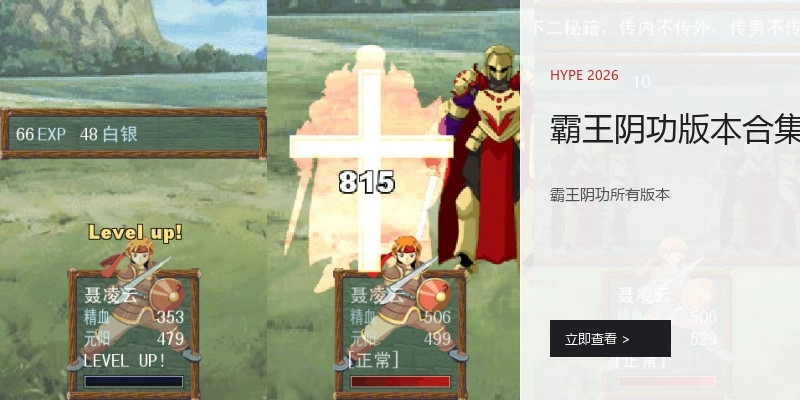 霸王阴功版本合集