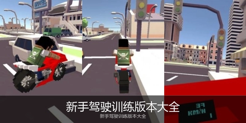 新手驾驶训练版本大全