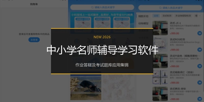 中小学名师辅导学习软件