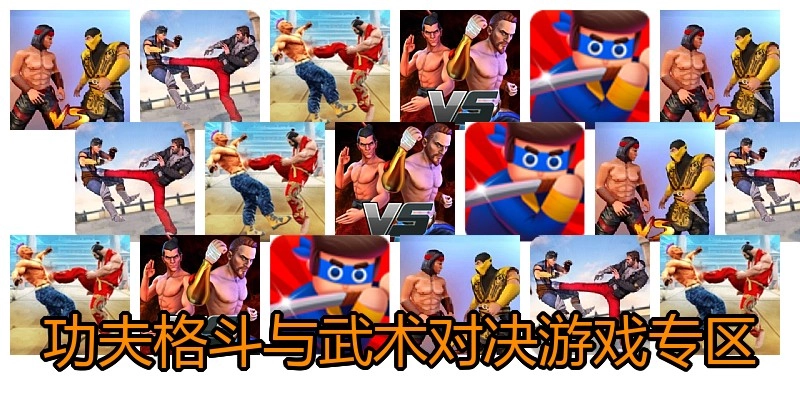 功夫格斗与武术对决游戏专区