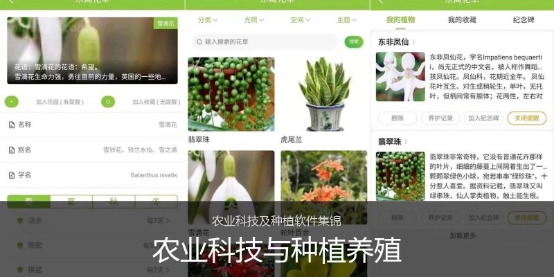 农业科技与种植养殖