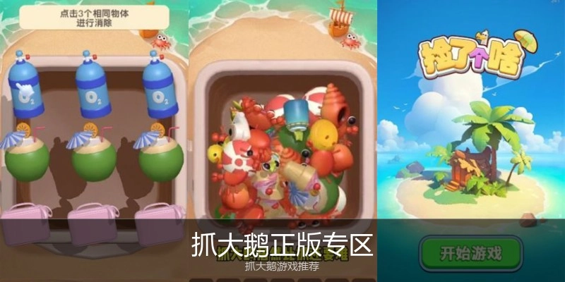 抓大鹅正版专区