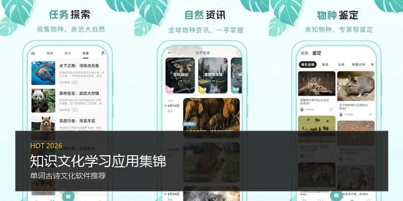 知识文化学习应用集锦