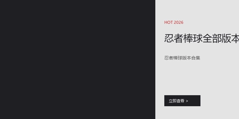 忍者棒球全部版本