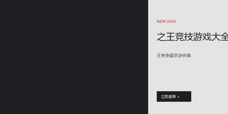 之王竞技游戏大全