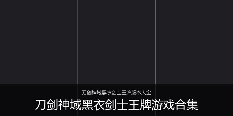 刀剑神域黑衣剑士王牌游戏合集
