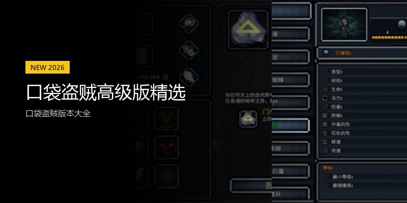 口袋盗贼高级版精选