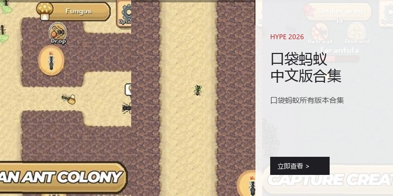 口袋蚂蚁中文版合集
