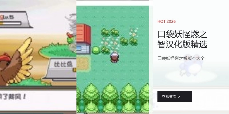 口袋妖怪燃之智汉化版精选