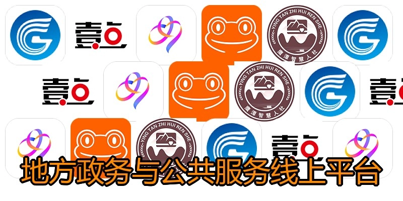 地方政务与公共服务线上平台