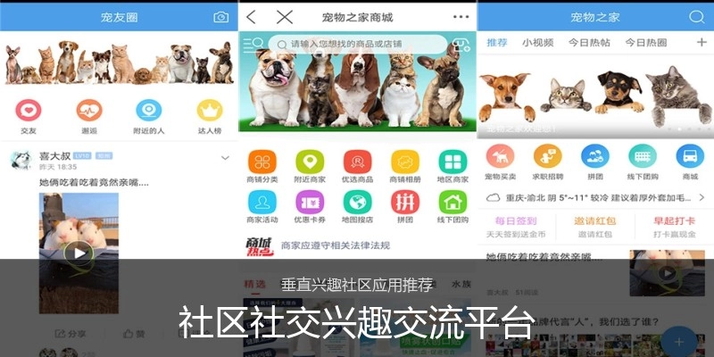 社区社交兴趣交流平台