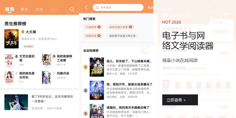 电子书与网络文学阅读器