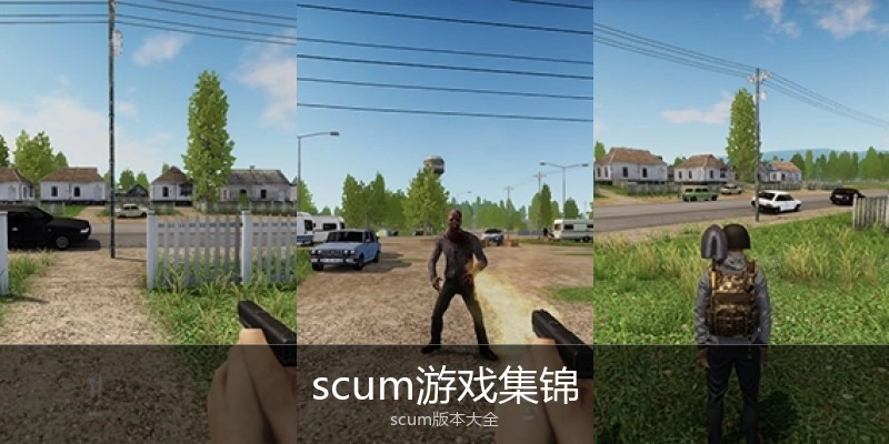 scum游戏集锦