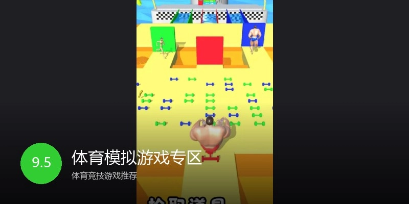 体育模拟游戏专区