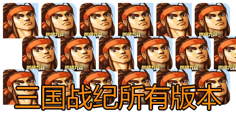 三国战纪所有版本