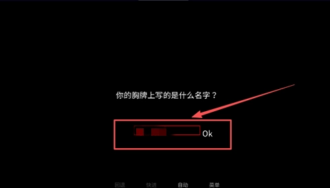 怎么玩详细教程截图3