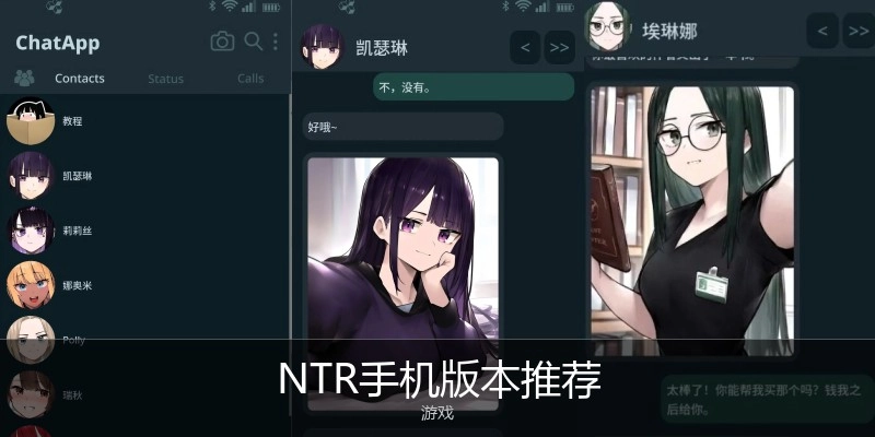 NTR手机版本推荐
