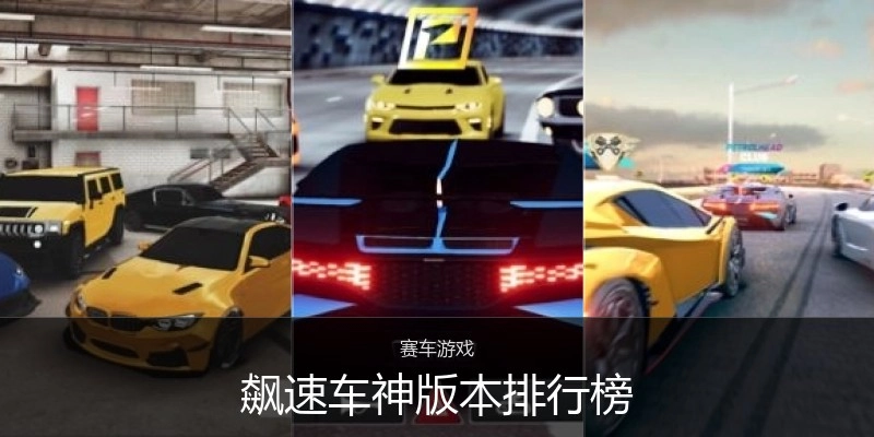 飙速车神版本排行榜