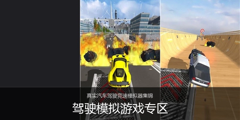 驾驶模拟游戏专区